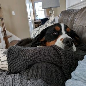 Meet your Posher, Greg